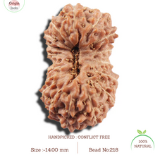 Load image into Gallery viewer, 17 Mukhi Rudraksha from Indonesia - Bead No. 218
