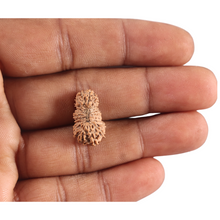 Load image into Gallery viewer, 21 Mukhi Indonesian Rudraksha - Bead No. 157
