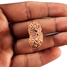 Load image into Gallery viewer, 24 Mukhi Rudraksha from Indonesia - Bead No. X
