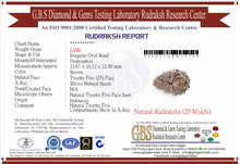 Load image into Gallery viewer, 25 Mukhi Rudraksha from Indonesia Bead No. C
