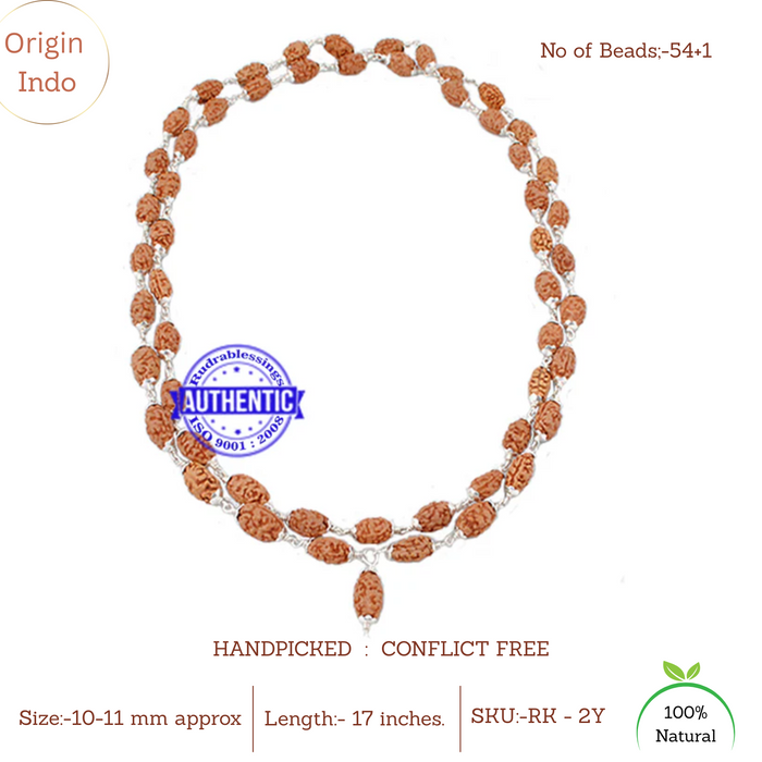 Smooth 2 Mukhi Rudraksha Mala (Pure Silver) (54+1)