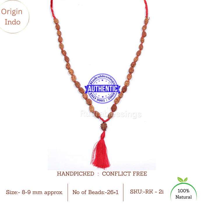 Smooth 2 Mukhi Rudraksha Mala - 9 (26+1)