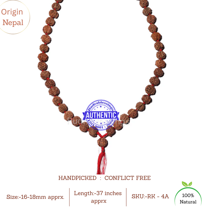 4 Mukhi Rudraksha Kantha - (108+1 beads - Nepalese) - 1