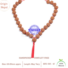 Load image into Gallery viewer, 4 Mukhi Rudraksha Mala - (26+1 beads - Nepalese)
