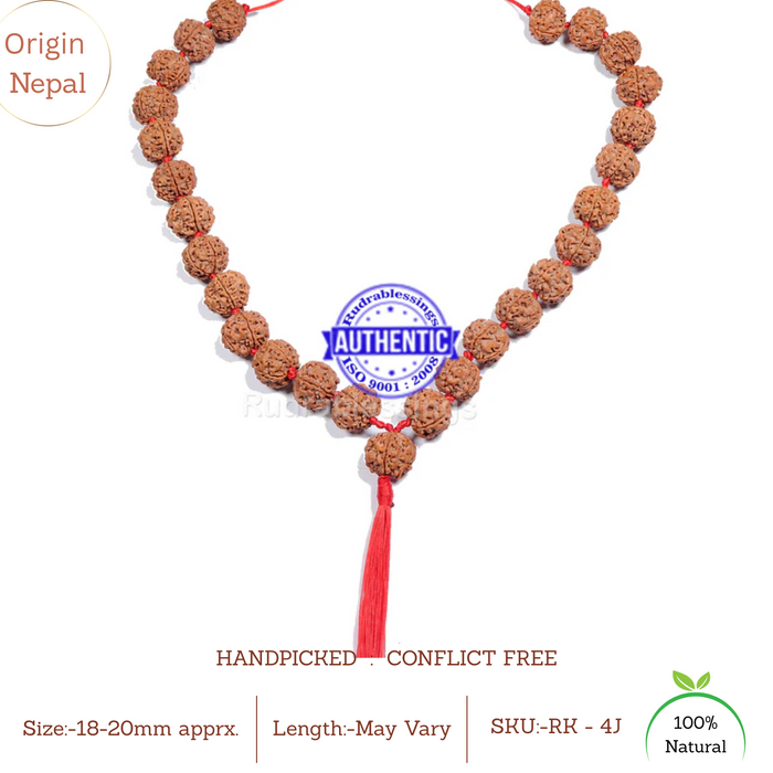 4 Mukhi Rudraksha Mala - (26+1 beads - Nepalese)