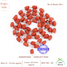 Load image into Gallery viewer, Smooth 2 Mukhi Rudraksha Mala (Pure Silver) - 3
