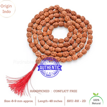Load image into Gallery viewer, Smooth 2 Mukhi Rudraksha Mala - 4 (108+1)
