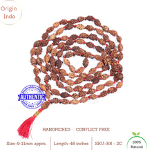 Load image into Gallery viewer, Regular 2 Mukhi Rudraksha Mala - 3

