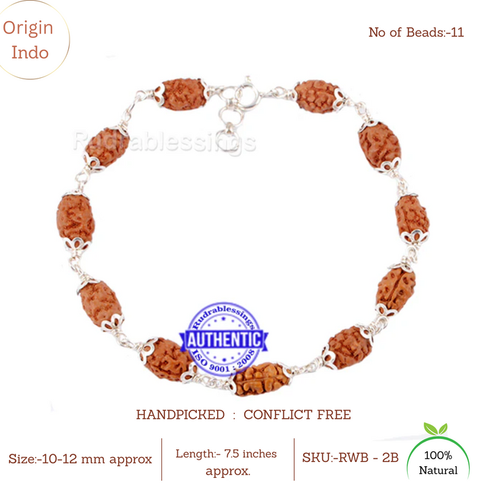 Smooth 2 Mukhi Rudraksha Bracelet (Pure silver)