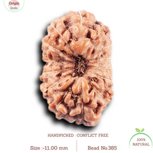 Load image into Gallery viewer, 14 mukhi Indonesian Rudraksha -  Bead No. 385
