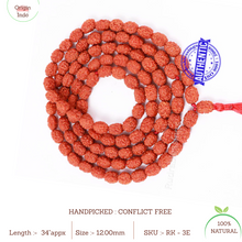 Load image into Gallery viewer, 3 Mukhi Agni Rudraksha Mala - 4
