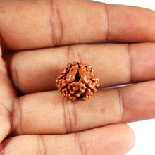 Load image into Gallery viewer, 3 Mukhi Rudraksha from Nepal - Bead No. 407

