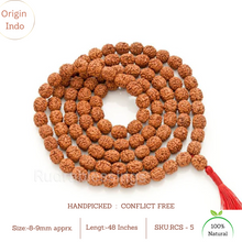 Load image into Gallery viewer, 4 Mukhi Rudraksha Mala - (108+1 beads - Indonesian)
