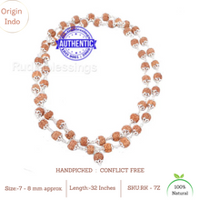 Load image into Gallery viewer, 7 Mukhi Rudraksha Mala - 54 + 1 (Pure Silver)
