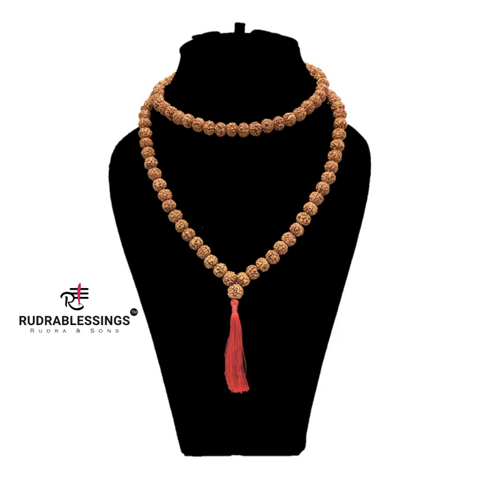 4 Mukhi Rudraksha Mala - (108+1 beads - Indonesian)