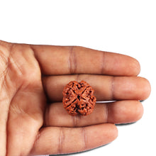 Load image into Gallery viewer, 4 Mukhi Rudraksha from Nepal - Bead No.388
