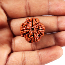 Load image into Gallery viewer, 4 Mukhi Rudraksha from Nepal - Bead No. 422
