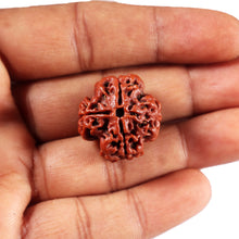 Load image into Gallery viewer, 4 Mukhi Rudraksha from Nepal - Bead No. 436
