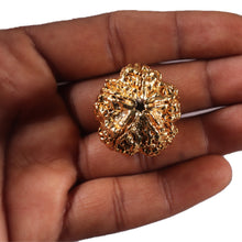 Load image into Gallery viewer, 5 Mukhi Goldpating Rudraksha from Nepal- bead no.499
