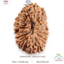 Load image into Gallery viewer, 20 Mukhi Indonesian Rudraksha - Bead 113
