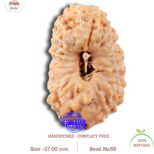Load image into Gallery viewer, 20 Mukhi Indonesian Rudraksha - Bead 68
