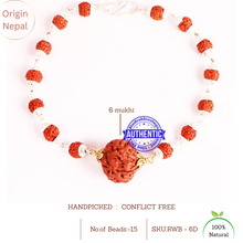 Load image into Gallery viewer, 6 Mukhi Wrist Band (Nepalese) - Type 3
