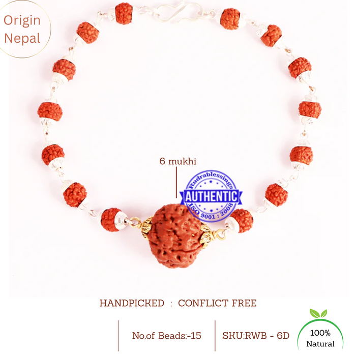 6 Mukhi Wrist Band (Nepalese) - Type 3