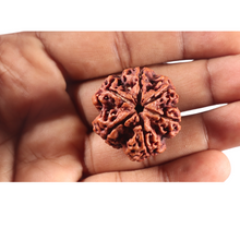 Load image into Gallery viewer, 6 mukhi nepal bead no 328
