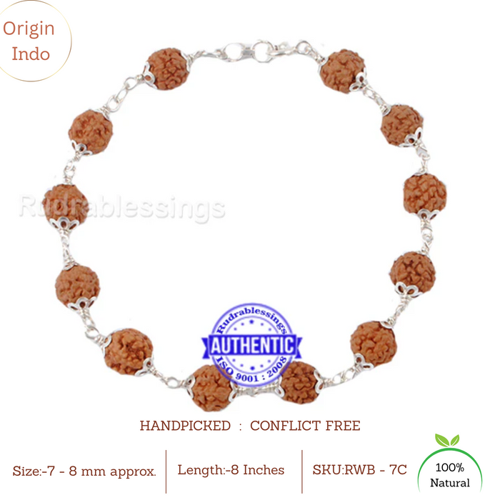 7 Mukhi Rudraksha Bracelet (Pure silver) - Type 1