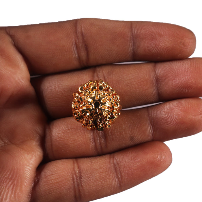 7 Mukhi Goldplating Nepalese Rudraksha - Bead No.100