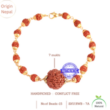 Load image into Gallery viewer, 7 Mukhi Wrist Band (Nepalese) - Type 1
