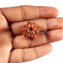 Load image into Gallery viewer, 7 Mukhi Nepalese Rudraksha - Bead No.68
