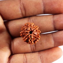 Load image into Gallery viewer, 8 Mukhi Nepalese Rudraksha - Bead No. 453

