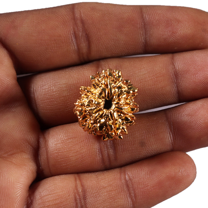 8 Mukhi Nepalese Rudraksha - Bead No. 463