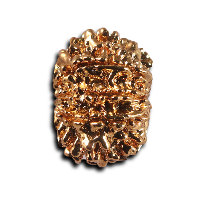 8 Mukhi Nepalese Rudraksha - Bead No. 463