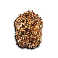 Load image into Gallery viewer, 8 Mukhi Nepalese Rudraksha - Bead No. 463
