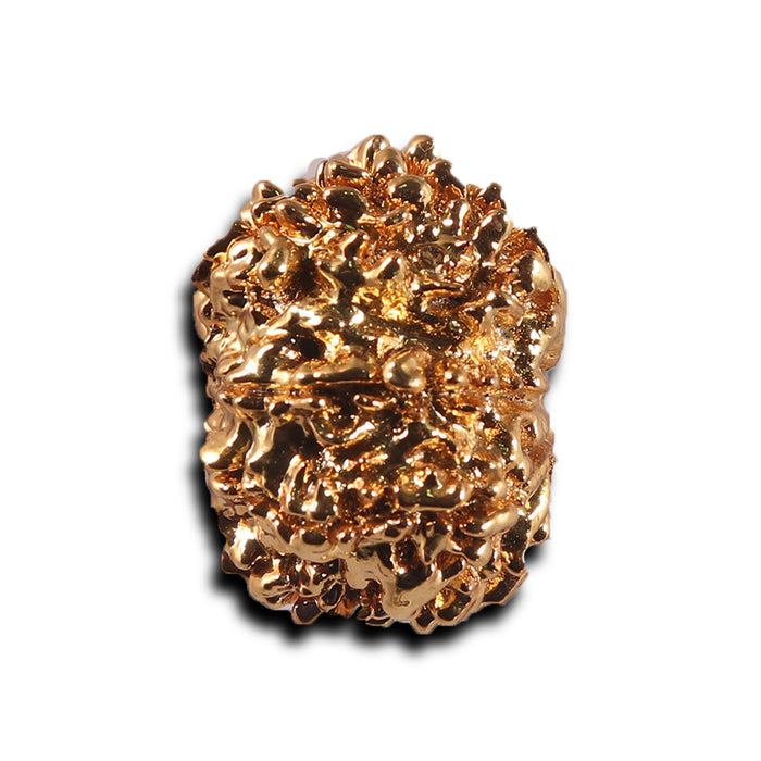 8 Mukhi Nepalese Rudraksha - Bead No. 463