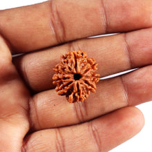 Load image into Gallery viewer, 8 Mukhi Nepalese Rudraksha - Bead No. 458
