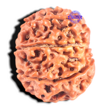 Load image into Gallery viewer, 8 Mukhi Nepalese Rudraksha - Bead No. 162
