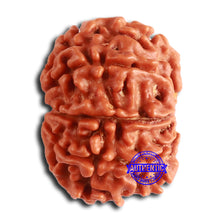 Load image into Gallery viewer, 8 Mukhi Nepalese Rudraksha - Bead No. 368
