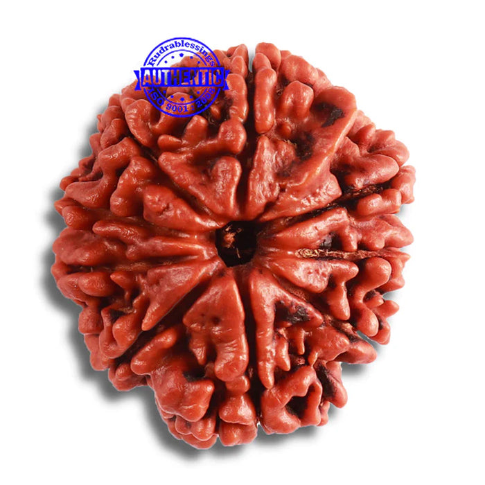 9 Mukhi Nepalese Ganesh - Bead No. 384