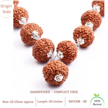 Load image into Gallery viewer, 9 Mukhi Indonesian Large Rudraksha Mala -(Pure Silver)
