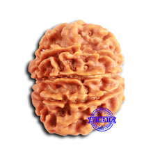 Load image into Gallery viewer, 9 Mukhi Nepalese Rudraksha - Bead No. 392
