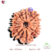 Load image into Gallery viewer, 11 Mukhi Nepalese Rudraksha - Bead No. 453
