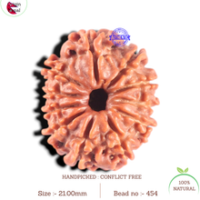 Load image into Gallery viewer, 11 Mukhi Nepalese Rudraksha - Bead No. 454
