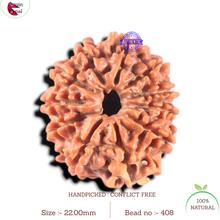 Load image into Gallery viewer, 11 Mukhi Nepalese Rudraksha - Bead No. 408
