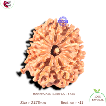 Load image into Gallery viewer, 11 Mukhi Nepalese Ganesha Rudraksha - Bead No. 411

