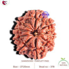 Load image into Gallery viewer, 9 Mukhi Nepalese Rudraksha - Bead No. 378
