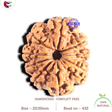 Load image into Gallery viewer, 9 Mukhi Nepalese Rudraksha - Bead No. 432
