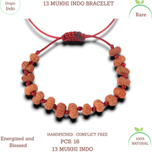 Load image into Gallery viewer, 13 Mukhi Indonesian Rudraksha Bracelet
